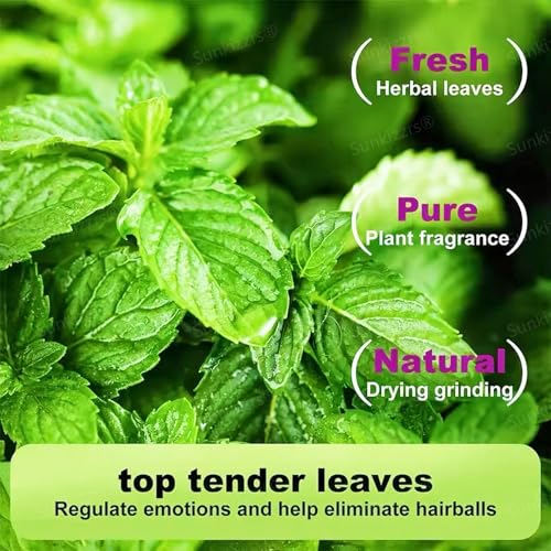 Image of Sunkizzrs Natural & Organic Catnip Jar (160ml) for Cats & Kitten (Non-Addictive & Safe) - Catmint Leaves Used on Toys and Scratchpads - Stimulate Playful Behaviour for Cats & Kittens