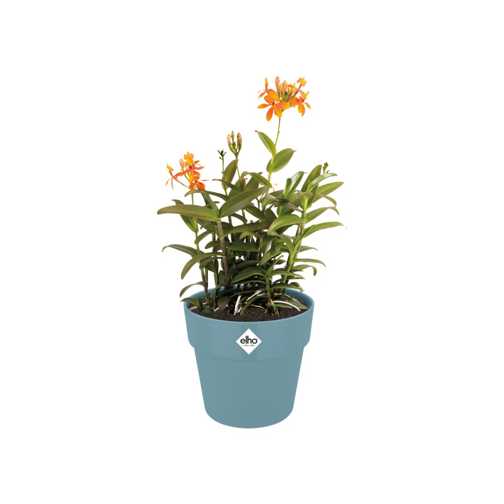 elho B.for Original Round 18 - Flower Pot for Indoor - 100% Recycled Plastic - diameter 18.0 x H 16.5 cm - Blue/Dove Blue - Image 3
