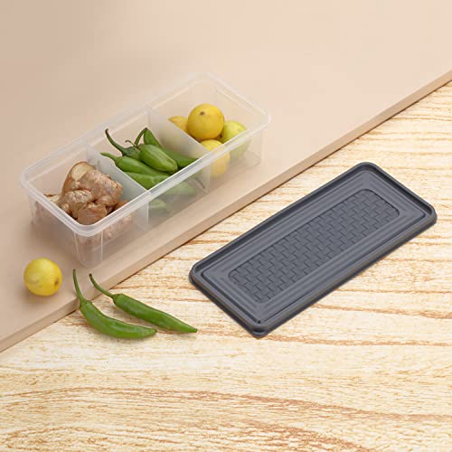 Image of MAGIC SPOON Multipurpose 3 Section Storage Container | Spice Box, Pickle Jar, Fridge Organizer, Dry Fruit, Vegetable & Kitchen Storage Container- Combo Pack (2000ml X 2) (BROWN-GREY)