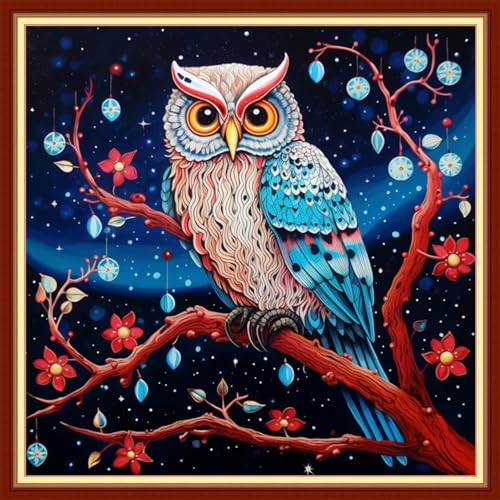 Image of Funxvoot Stamped Cross Stitch Kits Beginners Full Range of Embroidery Kits for Adults 11CT Embroidery Patterns Needlepoint Kits Printed Cross Stitch Kits -（Starry Owl 18x18 inchs）