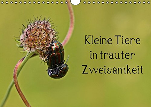 Kleine Tiere in trauter Zweisamkeit (Wandkalender 2017 DIN A4 quer): 13 verschiedene Makroaufnahmen Kleine Tiere in trauter Zweisamkeit (Wandkalender 2017 DIN A4 quer): 13 verschiedene Makroaufnahmen