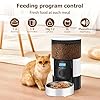 Ducksky Automatic Cat Feeder, 3L Timed Dog Food Dispenser, Auto Dry Food Feeders for Pets, Programmable Portion Control, 4 Meals/Day, Dual Power Supply, 10s Voice Recorder (White and Black - Basic)