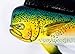 Handpainted Wall Mount Decor Plaque Mahi Mahi Green Dolphin 12