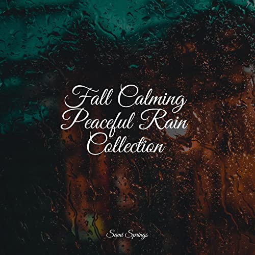 Reproducir Fall Calming Peaceful Rain Collection de Exam Study
