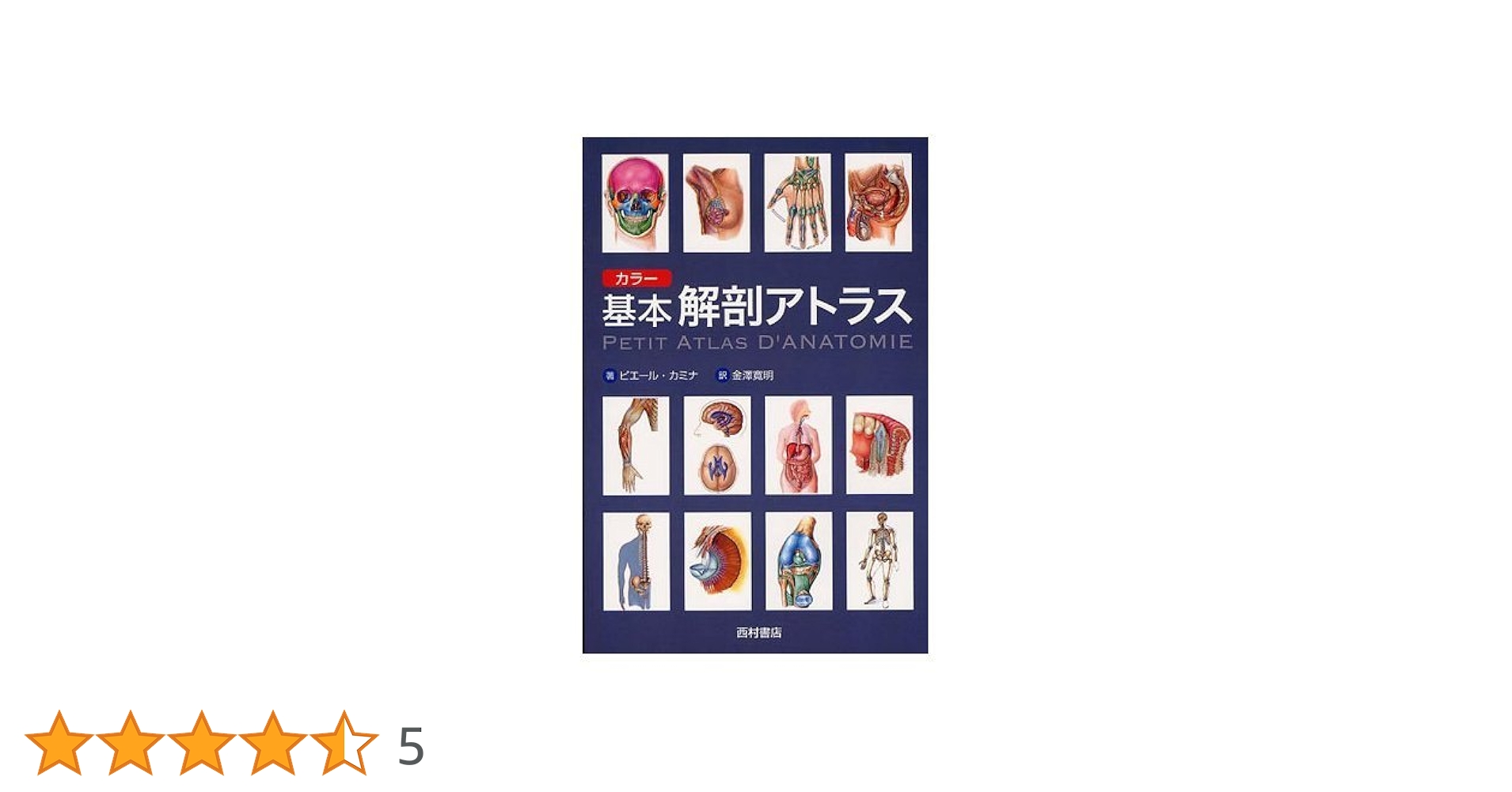 12、解剖学アトラス 解剖学カラーアトラス 第8版 | 書籍詳細 | 書籍 | 医学書院