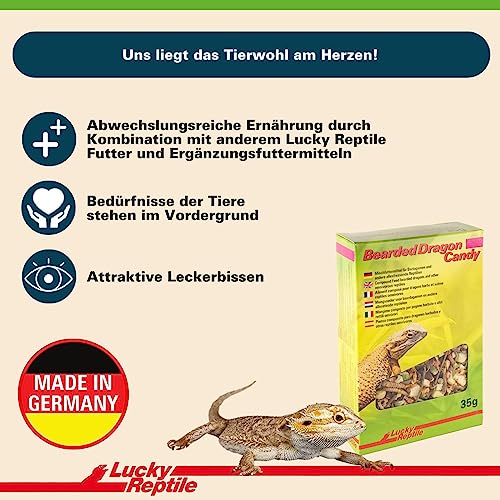 Lucky Reptile Bearded Dragon Candy