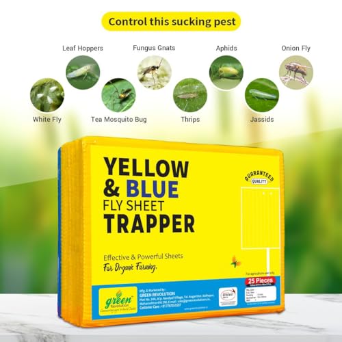 Image of ECO Sticky Trap /Insect Trap /for Garden & Farm to Control Whitefly, Thrips, Aphids, Jassids Pack of 1.