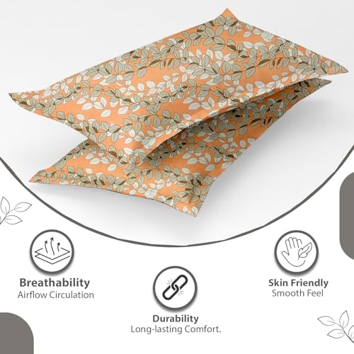 Image of IVAZA Ezyption Cotton Super Soft 240 TC Elastic Fitted All Around Elastic Printed King Size Double Bed Bedsheet with 2 Pillow Cover 72 inch X 78 inch Light Peach