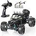 Exercise N Play RC Truck RC Car, Remote Control Car, Terrain RC Cars, Electric Remote Control Off Road Monster Truck, 1:18 Scale 2.4Ghz Radio 4WD Fast 30+ MPH RC Car (1:18A)