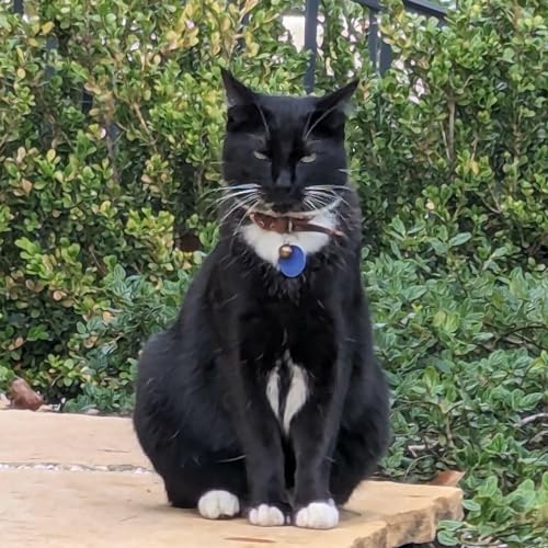 Problem Solving In Emotional Regulation Podcast Por  arte de portada