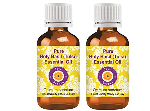 Huile essentielle Basilic sacré Ocimum sanctum Tulsi pure distillée vapeur 100ml paquet de 2