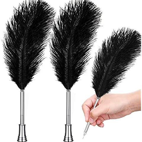 Chinco Vintage Feather Pen Set Cover