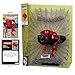 McFarlane Toys - Marvel Spider-Man 1:6th Scale Collectible with Scene (Spider-Man #1)