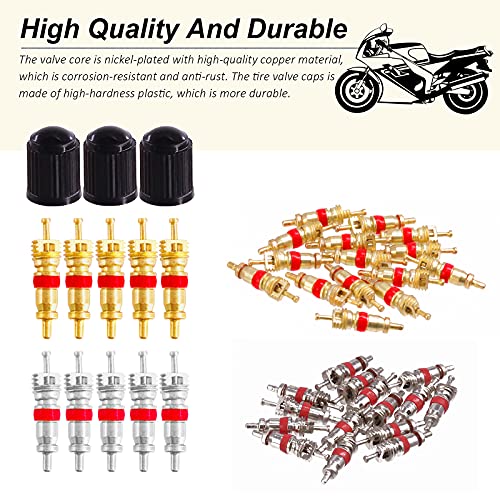 Wokape 70pcs Heavy Duty Tire Repair Kit - Roller, Scraper, Patches, Core Removal Tool, 4-Way Valve Tool