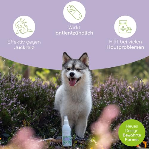 Juckreiz Spray für Hunde - Bei trockener Haut mit Juckreiz und Milben - Pflegt, unterstützt und regeneriert 100% pflanzlichen Wirkstoffe - Mit Teebaumöl und Lavendel, 200ml