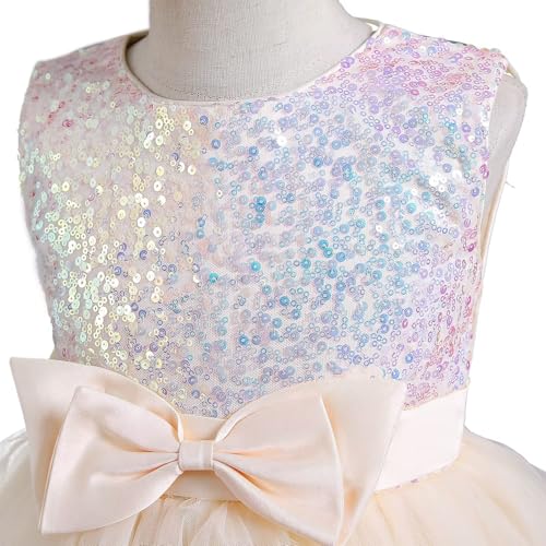 Girls Tutu Sequin Dress Sparkly Tulle Puffy Flower Girl Dress Toddler Girl Dress for Party Wedding Birthday 3-12Y4
