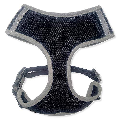 Arquivet 17690 Petral Black,L, Schwarz