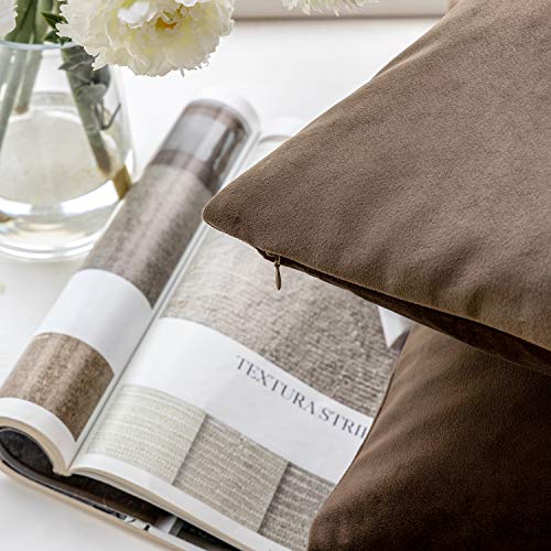 Phantoscope Pack of 2 Velvet Decorative Throw Decorative Pillow Cover Soft Solid Square Cushion Case for Couch Dark Coffee 20 x 20 inches 50 x 50 cm