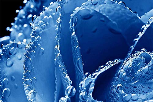 YUMUYAO Jigsaw Puzzle 1000 Pieces Adult Puzzle Wooden Puzzle Classic 3D Puzzle Blue Petals With Droplets Diy Home Decor,75X50Cm