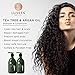 Luseta Shampoo and Conditioner Set with Tea Tree and Argan Oil for Oily Hair Clarifying, Fighting Dandruff Sulfate Paraben Free for Men and Women 2x16.9oz