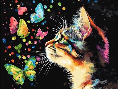 Peinture par numero adulte chat et papillon pour s'initier facilement à l'art sur toile