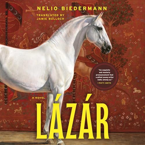 L&aacute;z&aacute;r Audiolibro Por Nelio Biedermann arte de portada