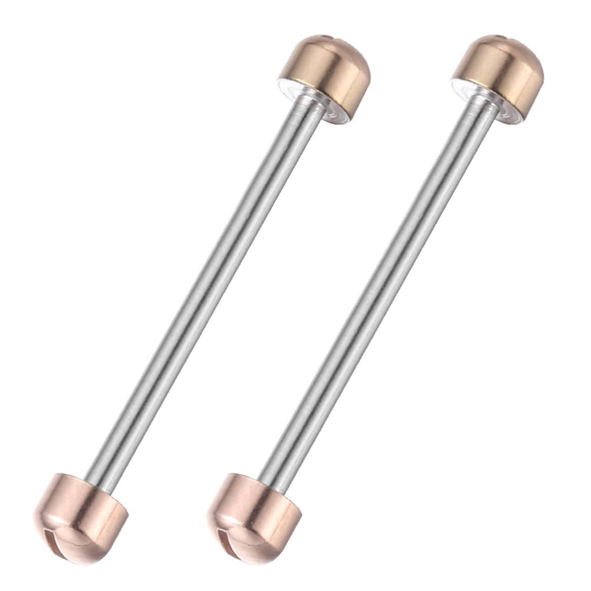 Beavorty 20mm Tiges de Vis de Montre Facile à Installer en Métal 2 Pièces, Outil de Réparation, pour Maillon de Bracelet pour Bijoutiers et Horlogers