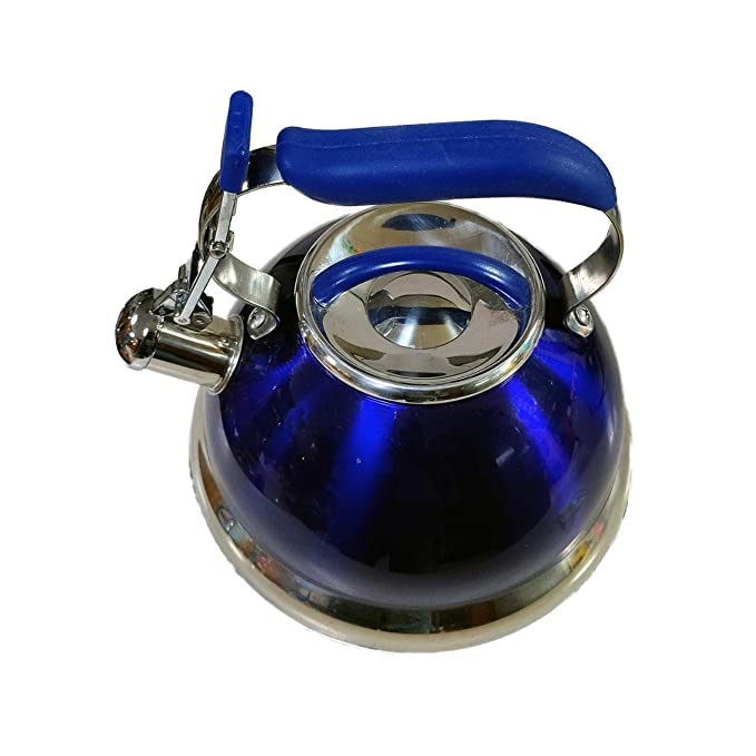 Buy House of Sensation Stainless Steel Tea/Hot Water Kettle with