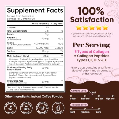 Image of Venture Pal Mushroom Coffee for Focus, Skin, Hair, Nails, Joints &Digestion