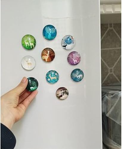 Miniatura 7 de NHW Juego de 12 imanes para nevera con patrón Datura, gabinete de oficina, pizarra blanca, calendario de fotos, decoración del hogar, imán (12)