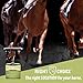 Kalmbach Feeds Right Choice Accelerate for Horse, 50 lb