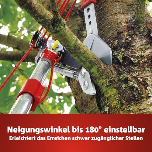 Bild 2 - WOLF-Garten multi-star Amboss Profi Baumschere RC-VM (für Äste bis 40mm Ø, ideal für abgestorbenes & hartes Holz, passend für multi-star-System) 71ACA005650