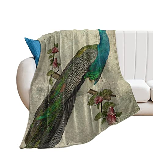 Couverture polaire paon déco de salon chaude pour soirée cocooning