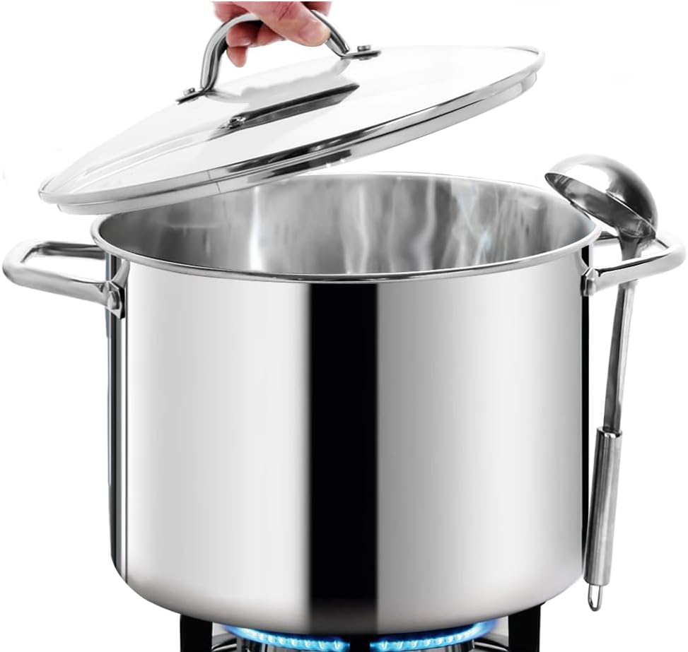 HOMICHEF Large Nickel Free Stainless Steel Stock Pot with Lid (29 cm, 11 Litre) - Mirror Polished Stock Pot 11L with Lid - Heavy Soup Pot with Lid - Healthy Cookware Induction Pot
