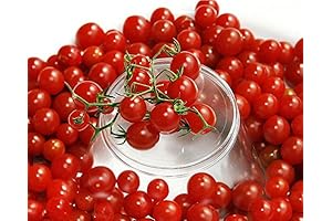30+ Sweet Pea Currant Tomato Seeds