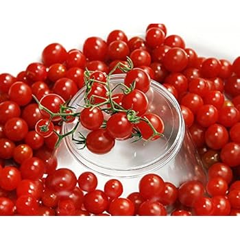 Amazon Com 20 X Yellow Currant Spoon Tomato Seeds Heirloom