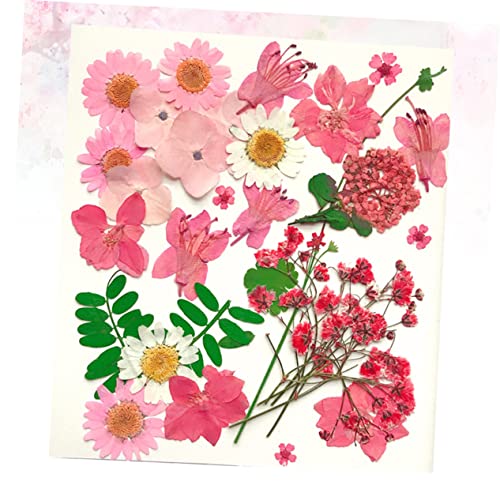 30 flores secas artesanales para decoración DIY miniatura 2