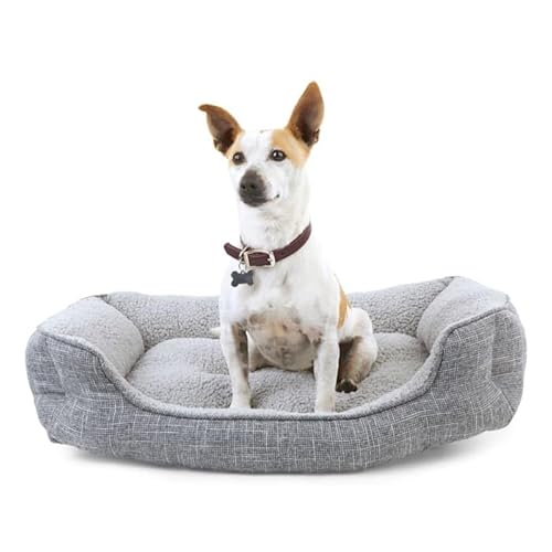 EveryYay Snooze Fest Grey Rectangle Nester Box Dog Bed 32" L X 24" W
