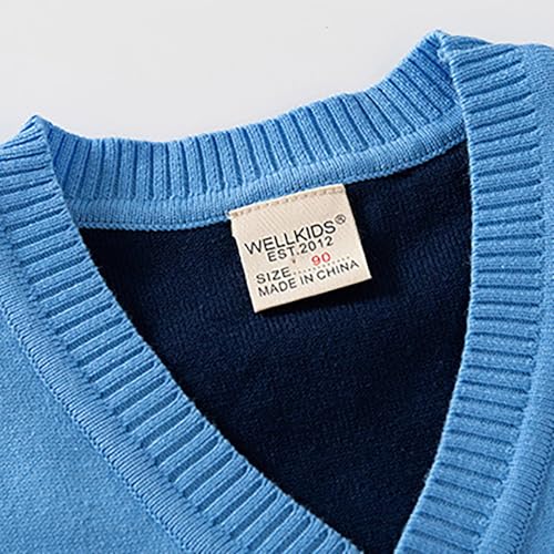 sfdgfhyf Boys and Toddler's V-Neck Knit Cardigan Sweater 𝐂artoon 𝐋ion School 𝐔niform Cardigan Button Down 4t2