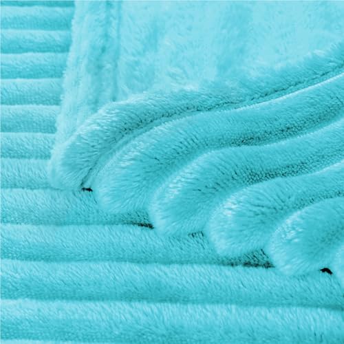 Image of BEDELITE Baby Blankets for Boys Girls 30 inchx 40 inch - 3D Ribbed Jacquard Cute Fuzzy Fleece Blanket, Warm and Breathable Soft Cozy Infant Toddler Blanket for Newborn All Seasons Suitable, Light Blue
