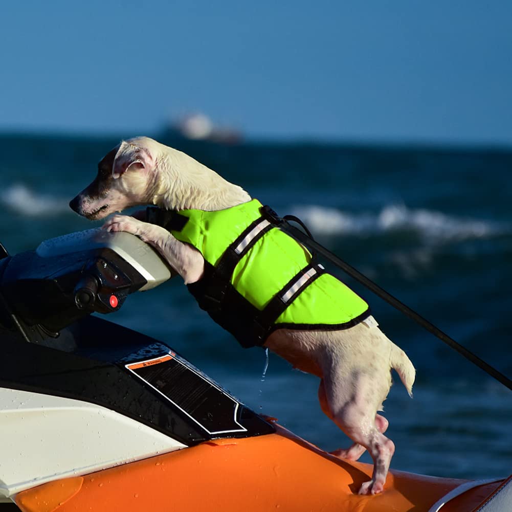 Gilet de Sauvetage Chien, FainFun Gilets de Sauvetage pour Chiens avec Bandes Réfléchissantes/Ceinture Réglable (Vert, XL)
