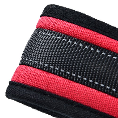 PAWZ Road Alta qualità Imbracatura per Grande Cane...