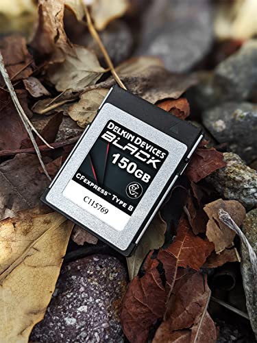 DELKIN CFexpress Type B Black 150Gb - imagen 3