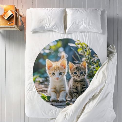 Couverture douce chat peluche ronde plaid unisexe imprimé