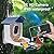 Smart Bird Feeder with Camera Solar Powered,AI Identify Bird Species,2K HD Video Live Auto Capture for Outdoor Backyard,Birdwatching,Ideal Gifts for Family Birds Lover(Dark Blue)