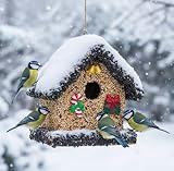 CEDAR ALPHA 2026 Seeded Birdhouse for Ou...