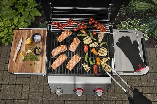Amazon.co.jp: -Stephen Products Japan合同会社(Sports/M): ガスグリル