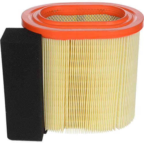 FRAM Extra Guard Engine Air Filter Replacement, Easy Install w/ Advanced Engine Protection and Optimal Performance, CA12182 for Select Ford Vehicles