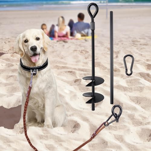 10 Best Dog Stake For Sand