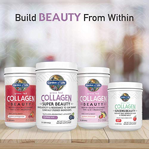 Garden Of Life Grass Fed Collagen Super Beauty Powder - Blueberry Acai, 20 Servings, Collagen Powder For Women Skin Hair Nails Joints, Collagen Peptides Powder, Collagen Protein, Collagen Supplements #TOP7